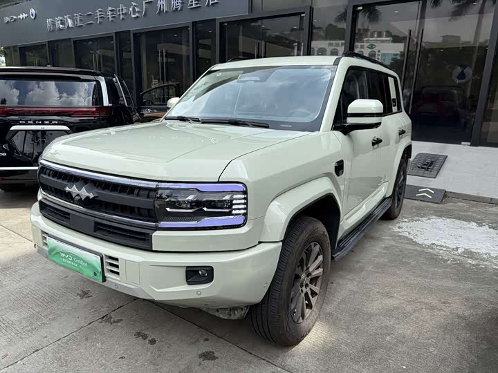 Leopard 5 2025 125KM Tianshen Smart Driving Ultra Edition