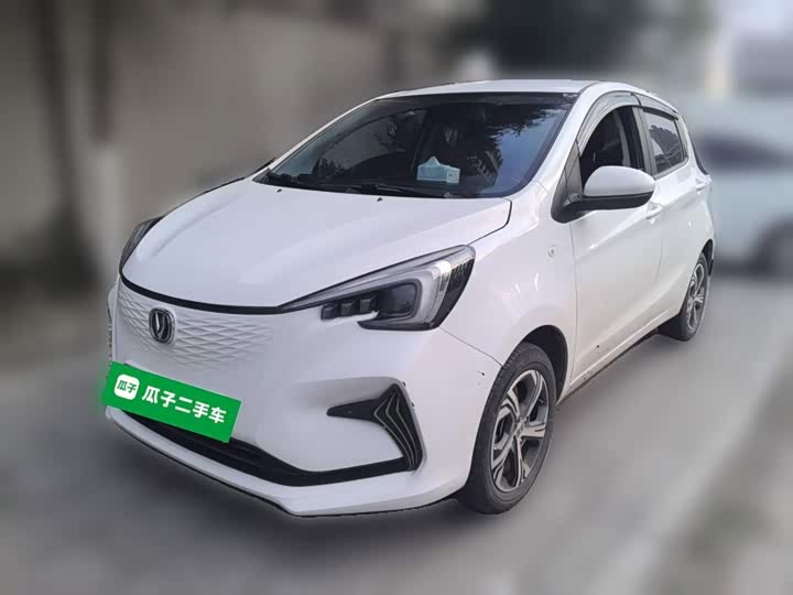 Changan Benben E-Star 2020 Heartbeat Edition ternary lithium