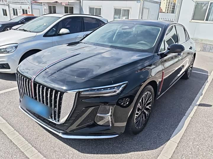 Hongqi H5 2024 2.0T Automatic Zhilianqichang Edition