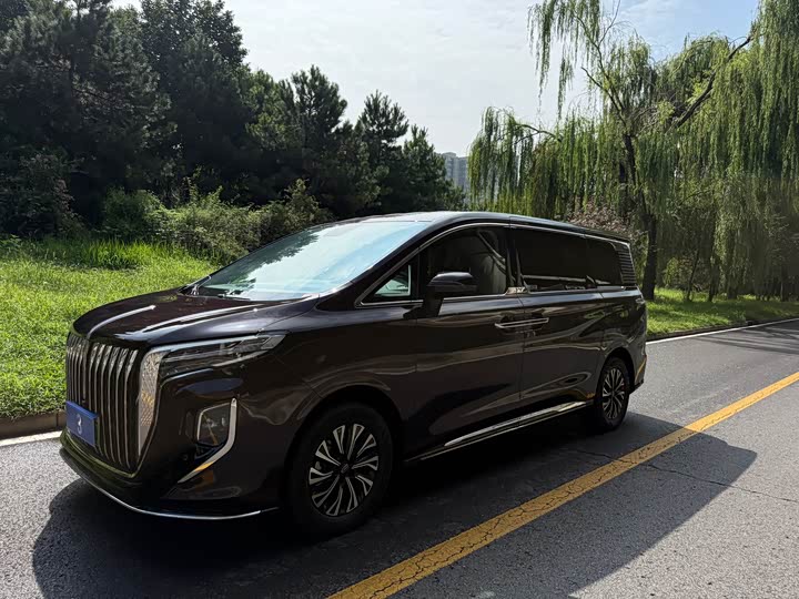 Hongqi HQ9 PHEV 2024 2.0T four-wheel drive business version