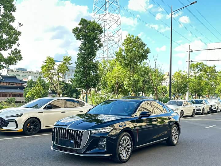 Hongqi H5 2023 2.0T Automatic Zhilianqichang Edition