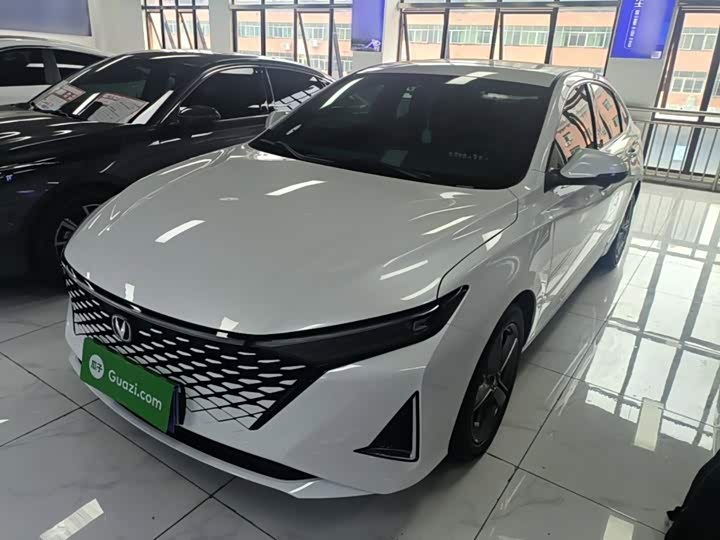 Ruicheng PLUS 2023 1.5T DCT premium model