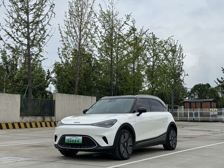smart Elf #1 2022 Premium Edition