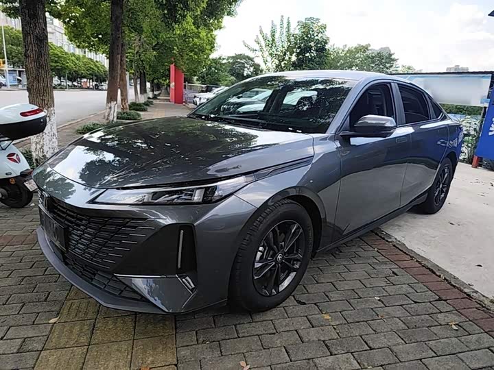 Yida 2023 Blue Whale NE 1.5T GDI DCT Exclusive Type