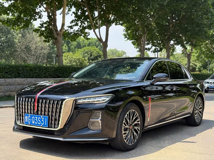 Hongqi H5 2024 2.0T Automatic Zhilianqichang Edition