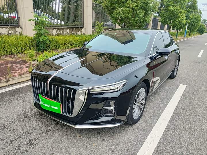 Hongqi H5 2023 2.0T Automatic Zhilianqichang Edition