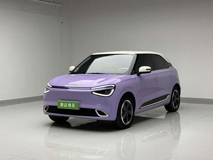 Nano 01 2024 Renewed Version 430 Plus Smart