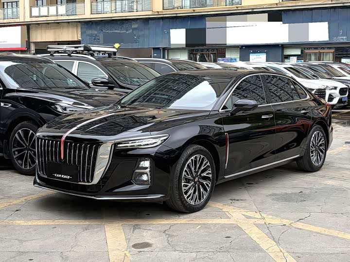 Hongqi H5 2023 2.0T Automatic Zhilianqichang Edition