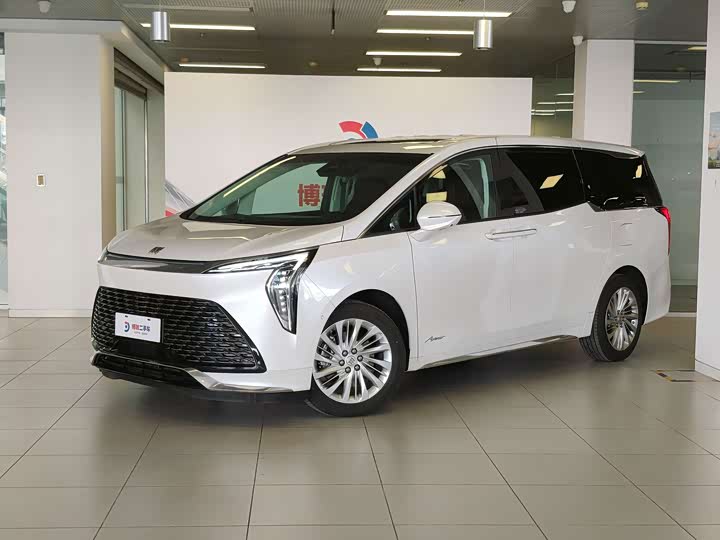 Century 2025 2.0T Six-seater Yuanshi Edition