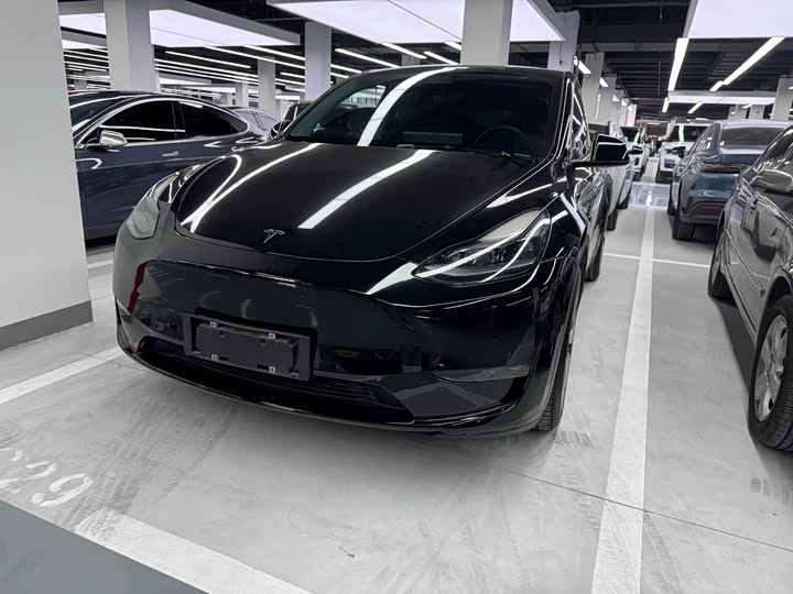 Model Y 2021 standard range rear-wheel drive version