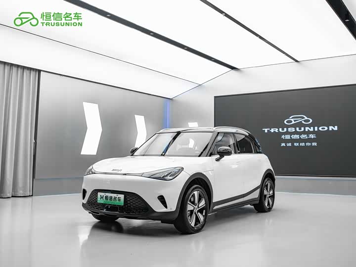 smart elf #1 2024 smart standard version