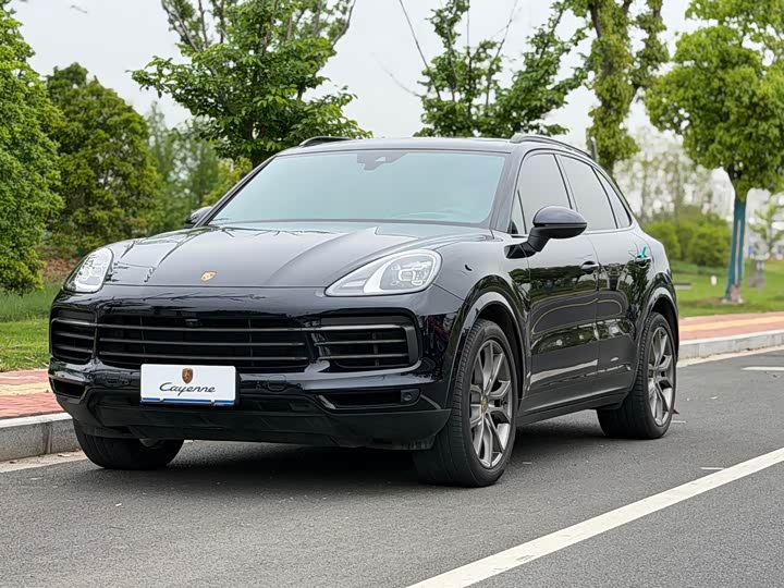Cayenne 2023 Cayenne 3.0T Platinum Edition
