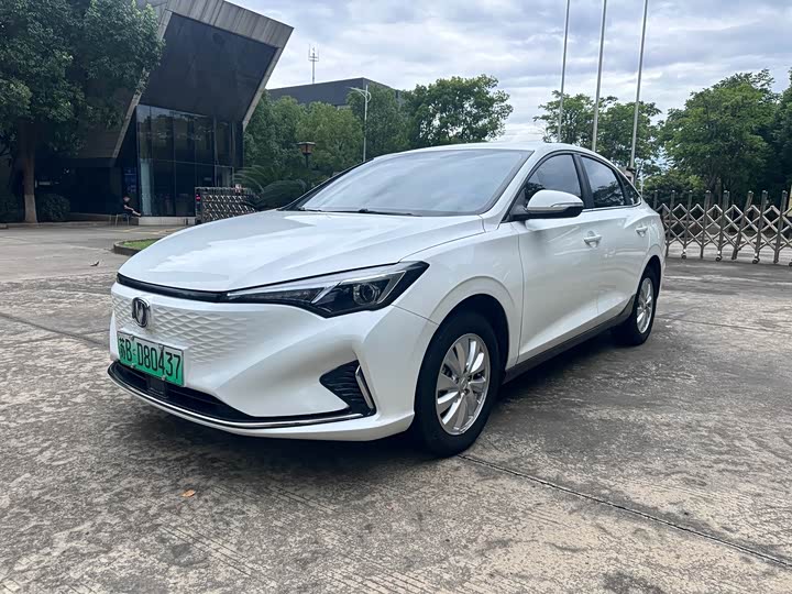 Eado New Energy 2022 EV460 Zhixing Online Reservation Edition Three Yuan Lithium