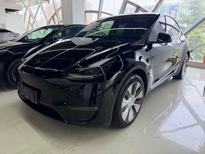 Model Y 2021 standard range rear-wheel drive version