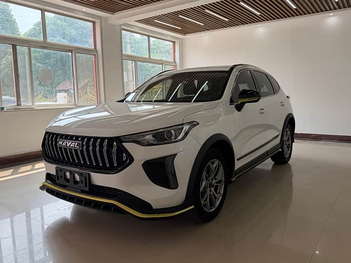 Haval Red Rabbit 2022 Exclusive Edition 1.5T Brass Rabbit