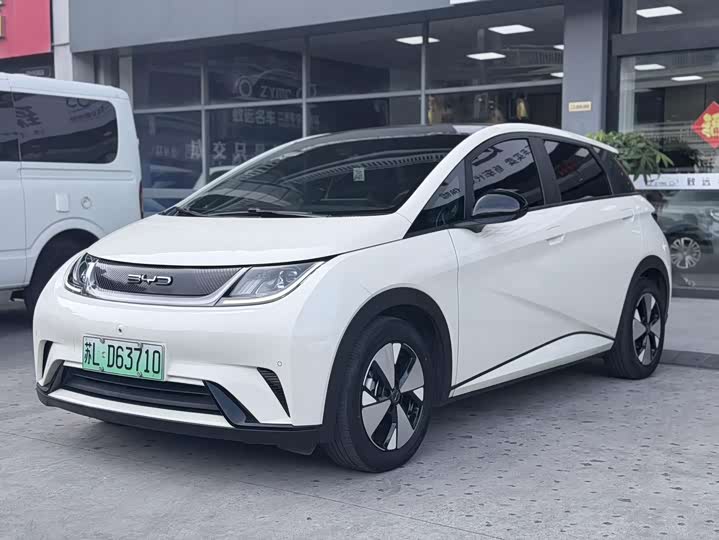 Dolphin 2023 420km Fashion Edition