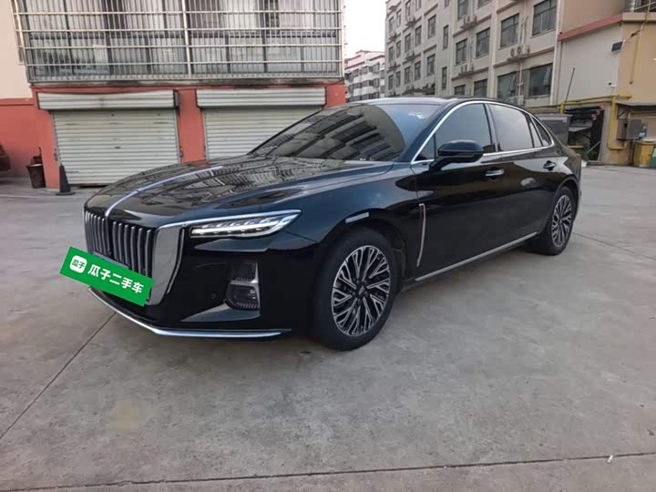 Hongqi H5 2024 2.0T Automatic Zhilianqichang Edition