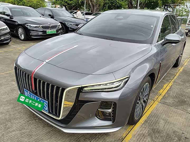 Hongqi H5 2024 2.0T Automatic Zhilianqichang Edition