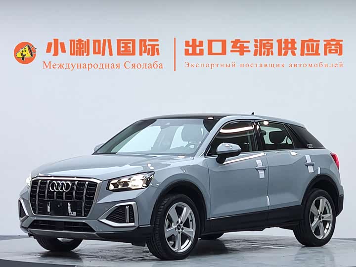 Audi Q2L 2022 35 TFSI Enterprising and Elegant Model