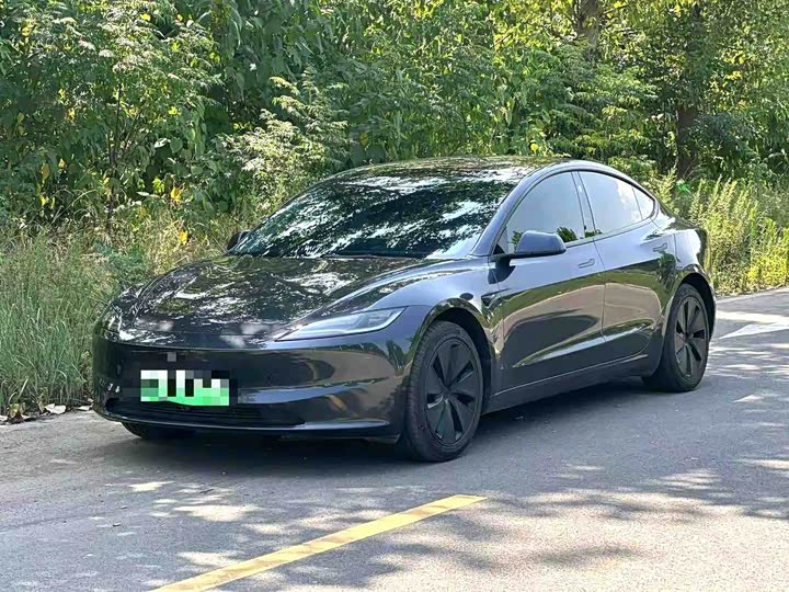 Model 3 2023 rear-wheel drive version
