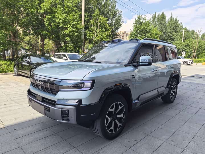 Leopard 8 2025 Zhiyong flagship version 6 seats