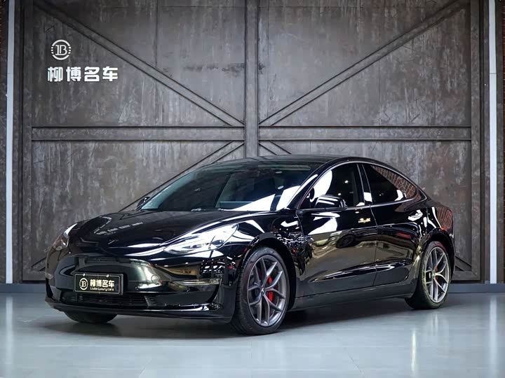 Model 3 2022 Performance high-performance all-wheel drive version