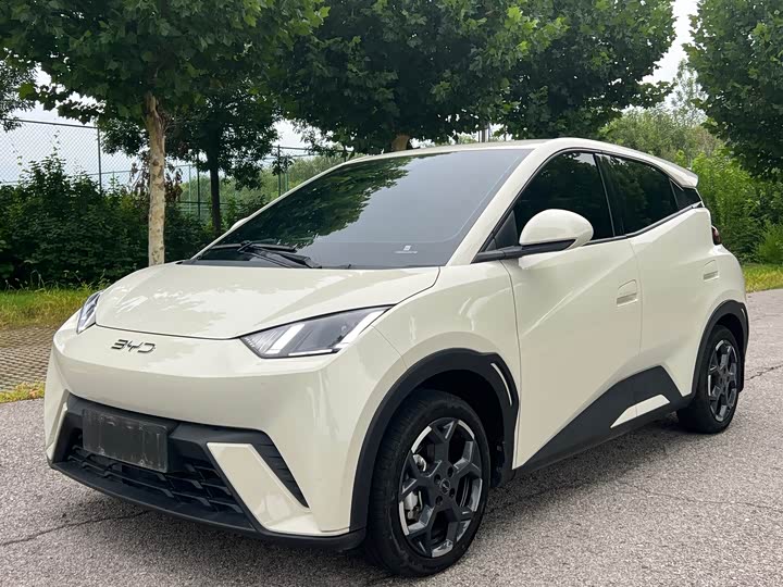 Seagull 2024 Honor Edition 405km Flying Edition