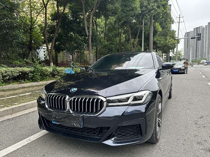 BMW 5 Series 2022 530Li Leading Luxury Package