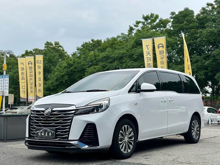 2023 Buick GL8 2023 Land Business Class Comfort Type