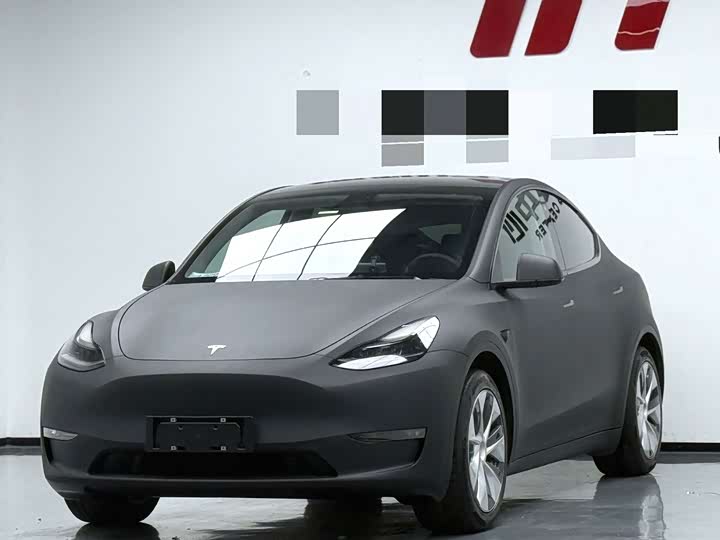 Model Y 2021 Model Standard Range Edition