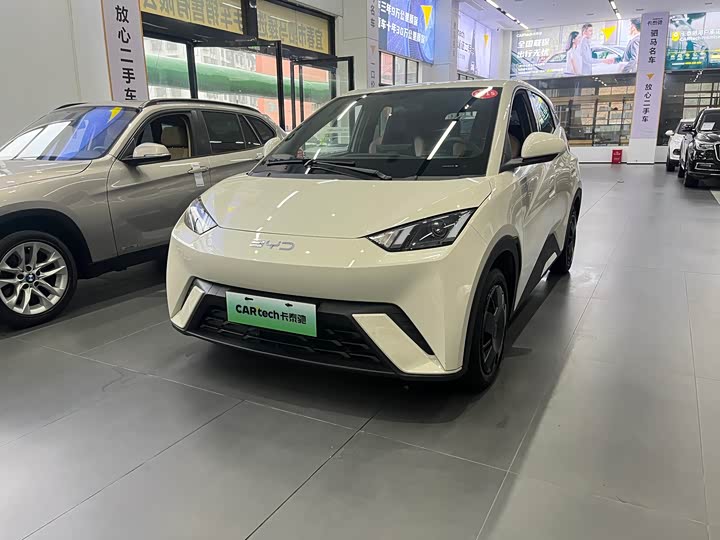 Seagull 2024 Honor Edition 305km Vitality Edition