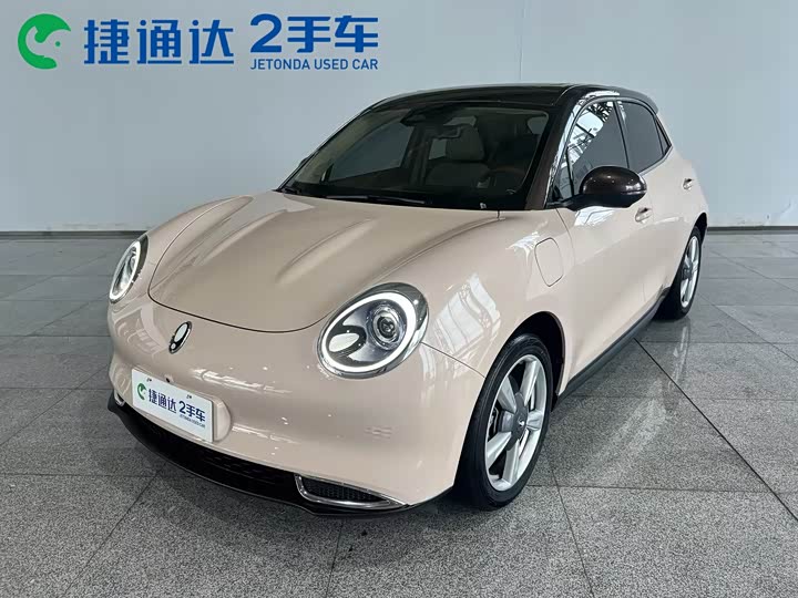 2021 Model 400kmStandard Range Edition