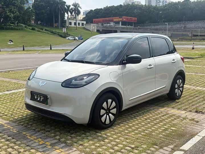 Model 333km Model