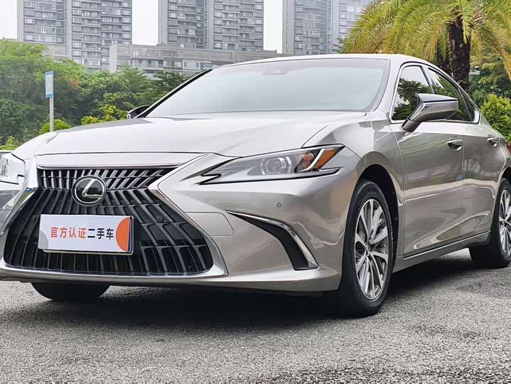 2022 Lexus ES 2022 200 Excellence Edition
