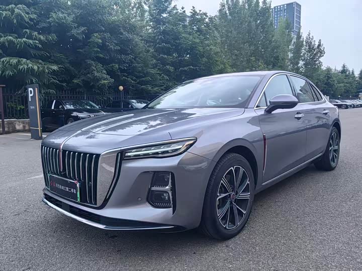 H5 PHEV 2025 Model 170 Edition