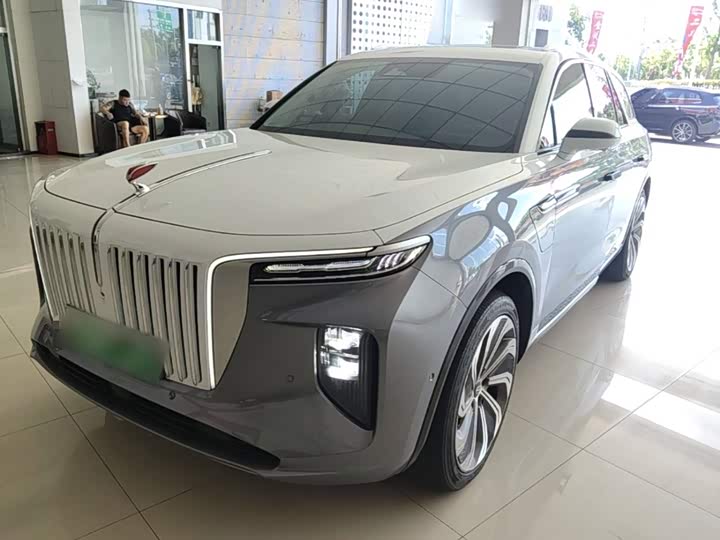 E-HS9 2021 Model 510km Edition