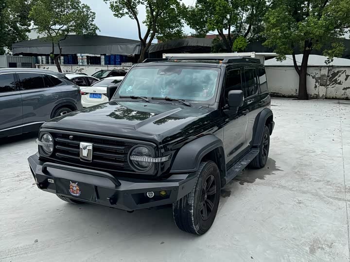 300 2024 Model 2.0T