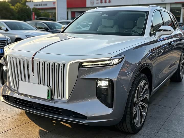 E-HS9 2021 Model 510km Edition