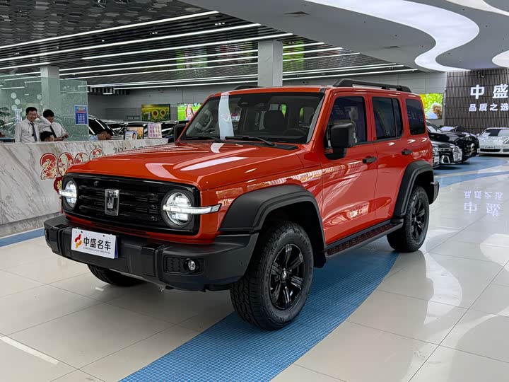 300 2025 Model 2.0T