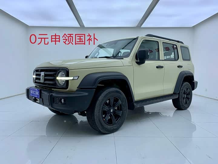 300 2025 Model 2.0T