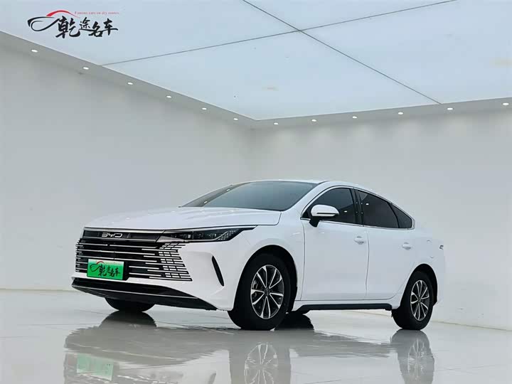 Destroyer 05 2024 Honor Edition DM-i 55KM Luxury Type
