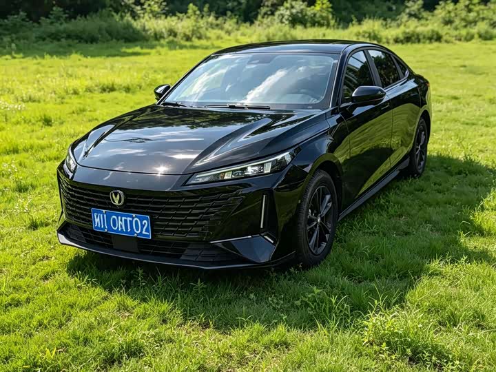 2023 Model NE 1.5T GDI DCTFlagship Version