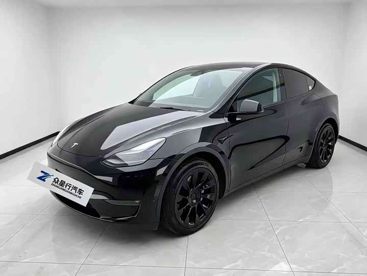Model Y 2021 Model Standard Range Edition