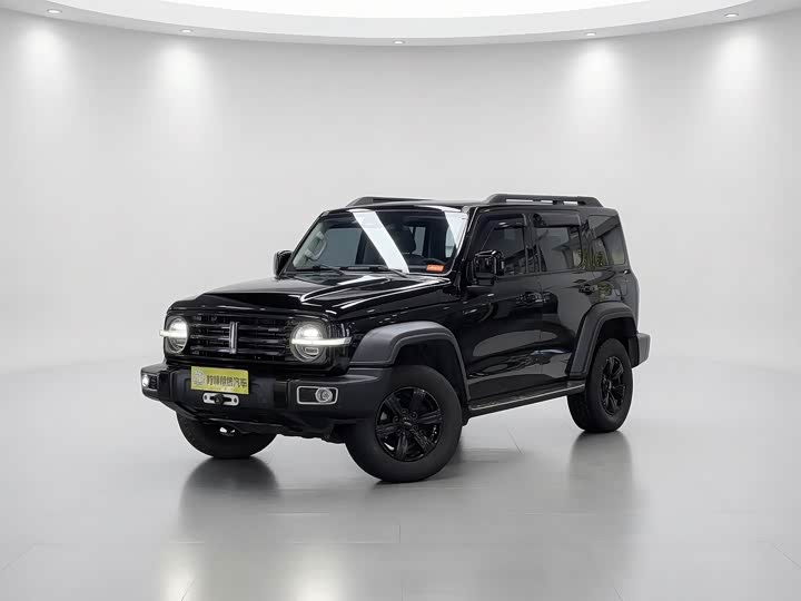 300 2021 Model Off-Road Edition 2.0T
