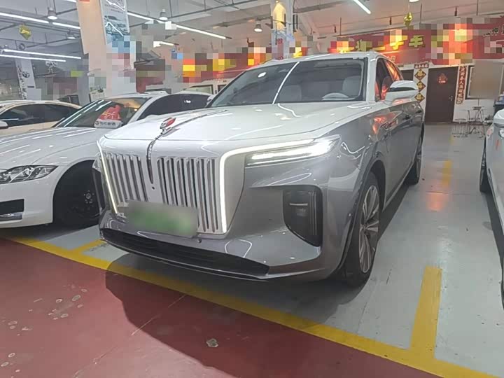 E-HS9 2021 Model 510km Edition
