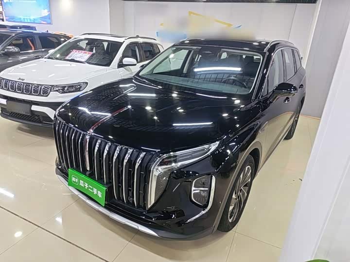 HS7 PHEV 2024 Model 2.0T PHEV AWD Edition 6