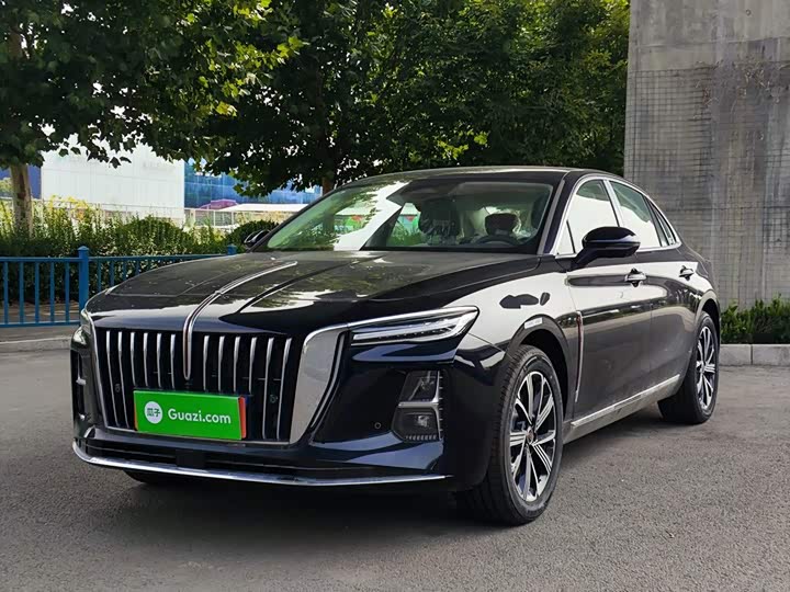 H5 PHEV 2025 Model 170 Edition