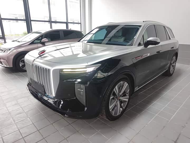 E-HS9 2021 Model 510km Edition