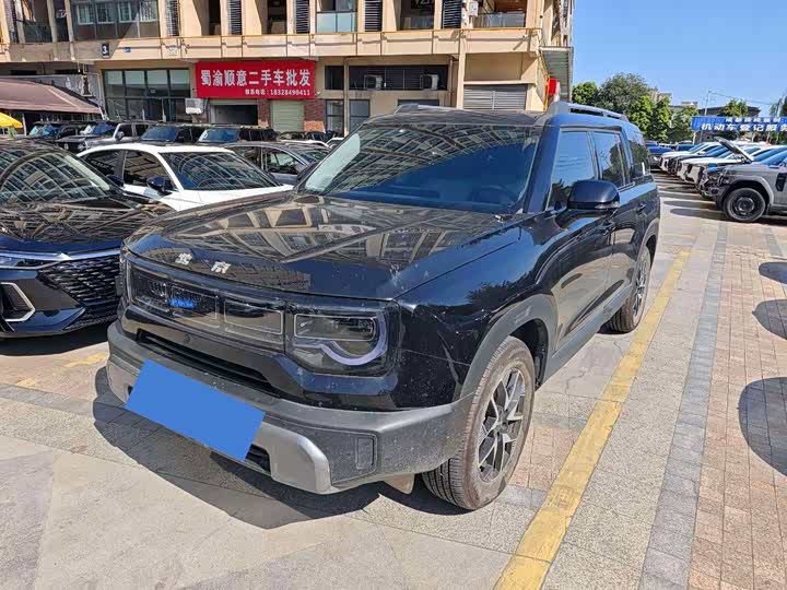 Off-RoadBJ30 2024 Model 1.5T Pro Edition