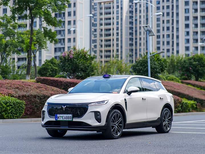 Model Edition